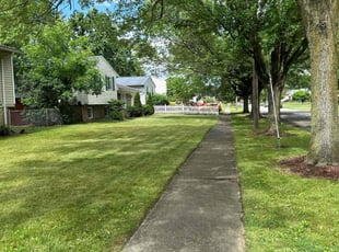 Lucy S.'s turf maintenance service result