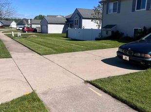 Weston S.'s turf care service result