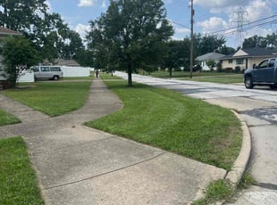 Lyn H.'s lawn care services service result