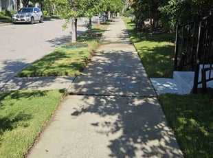 Lorenzo C.'s lawn care services service result