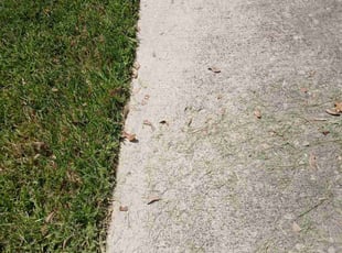 Candice R.'s turf maintenance service result