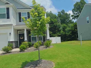 Brandon C.'s lawn care services service result