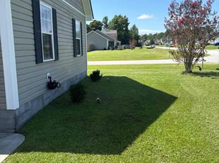 Domonique W.'s lawn care services service result