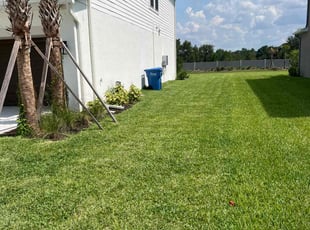 Tomika L.'s lawn service service result