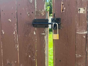 Layla O.'s grass maintenance service result