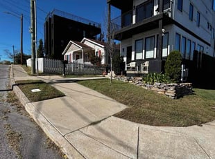 Daniya S.'s lawn service service result