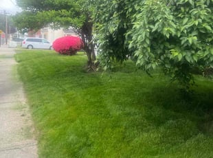 Corey A.'s turf maintenance service result