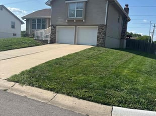Samuel S.'s turf care service result