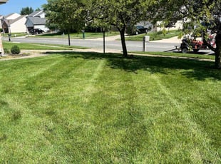 Mary J.'s lawn care services service result