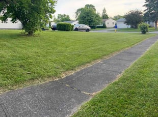 Erica W.'s grass maintenance service result