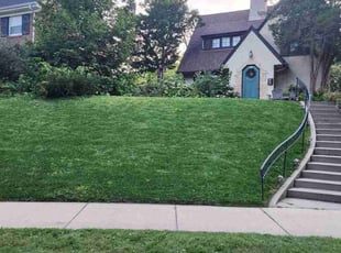 Grace K.'s grass cutting service result