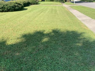 Clyde H.'s turf maintenance service result