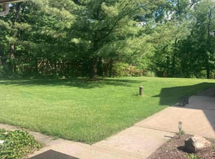 Sue O.'s grass cutting service result