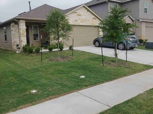 Bassam B.'s lawn care services service result