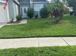 Barbara A.'s turf care service result