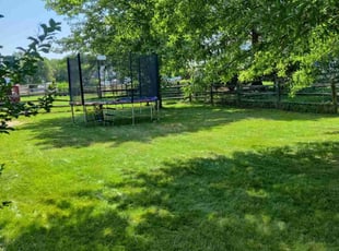 Tamika H.'s lawn care service result