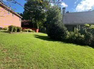 D'Ann C.'s lawn care services service result