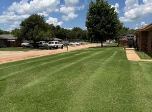Dave W.'s grass cutting service result