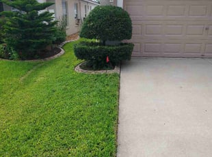 Elizabeth B.'s Landscaping service result