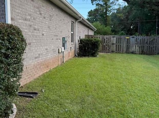 Tricia G.'s Bush Trimming service result