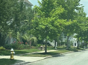 John H.'s turf care service result