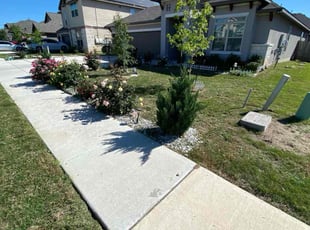 Spencer L.'s turf care service result