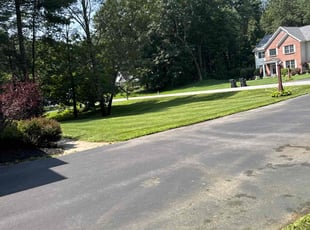 Peter B.'s lawn care service result