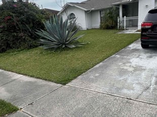 Tyniah M.'s lawn service service result