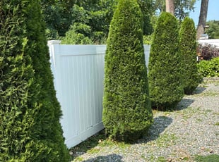 Melody S.'s Bush Trimming service result