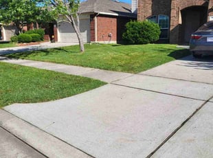 Christine P.'s grass cutting service result