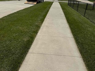 Malique S.'s turf care service result