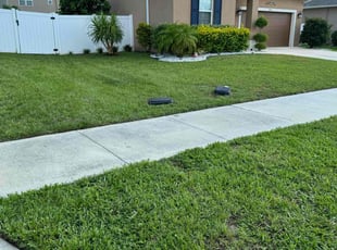 Nathan S.'s turf care service result