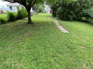 James P.'s grass cutting service result