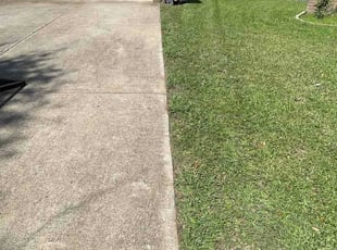 Tamala R.'s lawn maintenance service result