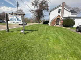 Brandon G.'s grass maintenance service result