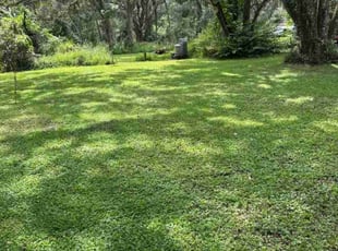 David K.'s lawn care services service result