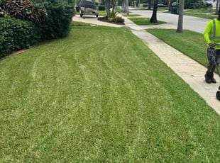 William J.'s turf care service result