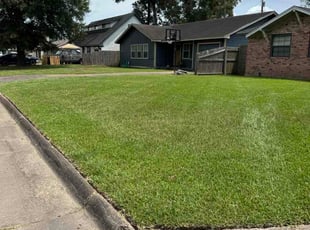 Kristi Y.'s grass maintenance service result