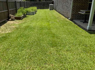 Randy M.'s grass maintenance service result