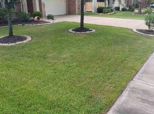 Greg H.'s lawn service service result