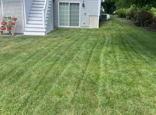 Boz M.'s landscape maintenance service result