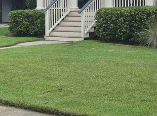 Deborah O.'s grass maintenance service result