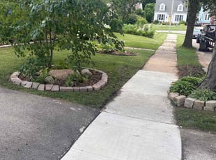 Trisha F.'s grass cutting service result