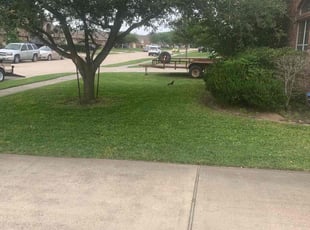 Jana C.'s lawn care service result