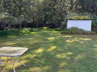 Tirzah L.'s lawn maintenance service result