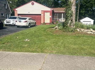 Lashanda W.'s lawn care service result