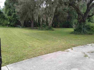 Richard H.'s lawn care services service result