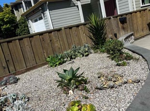 Carol K.'s Tree Care service result