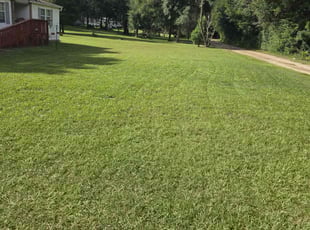 Sophia C.'s lawn care service result