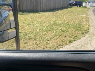 Venus G.'s grass maintenance service result
